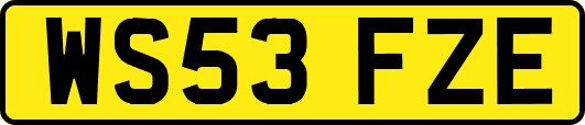 WS53FZE