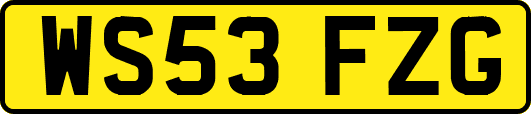 WS53FZG