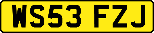 WS53FZJ