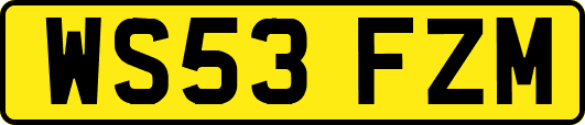 WS53FZM