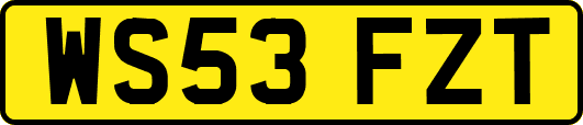 WS53FZT