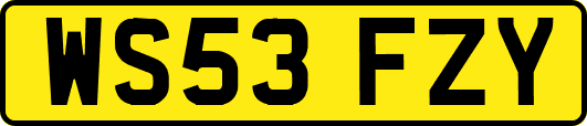 WS53FZY
