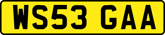 WS53GAA