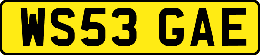 WS53GAE
