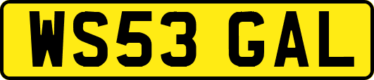 WS53GAL