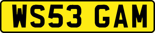 WS53GAM