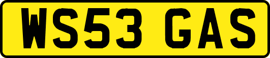 WS53GAS