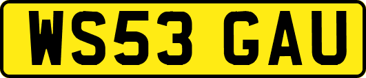 WS53GAU