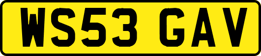 WS53GAV