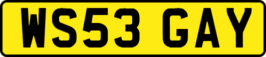 WS53GAY