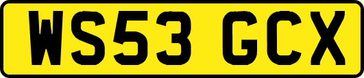 WS53GCX
