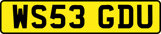 WS53GDU