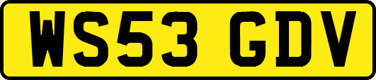 WS53GDV