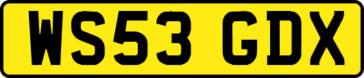 WS53GDX