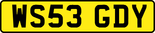 WS53GDY