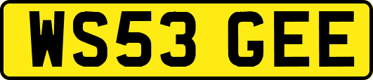 WS53GEE