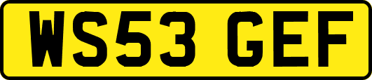 WS53GEF