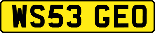 WS53GEO