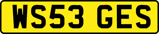 WS53GES