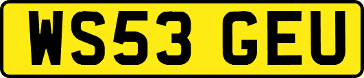 WS53GEU