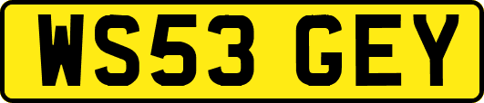 WS53GEY