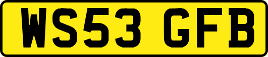 WS53GFB