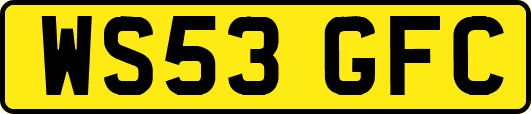 WS53GFC
