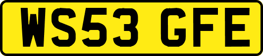 WS53GFE