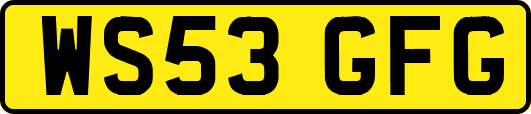 WS53GFG