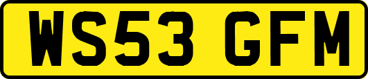 WS53GFM