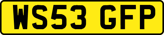 WS53GFP