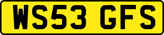 WS53GFS