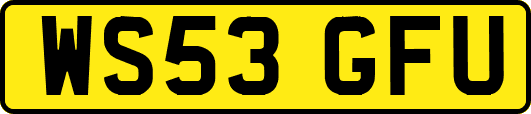 WS53GFU