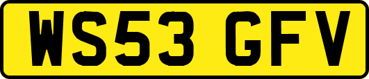 WS53GFV