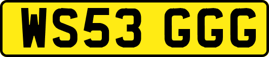 WS53GGG