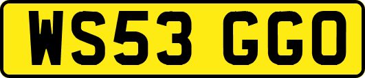 WS53GGO