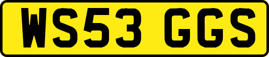 WS53GGS