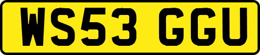 WS53GGU