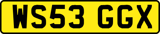 WS53GGX