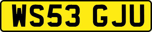 WS53GJU