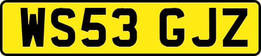 WS53GJZ