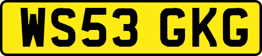 WS53GKG