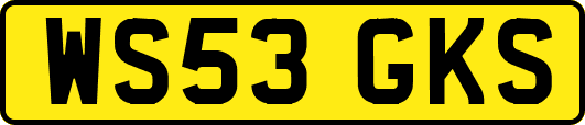 WS53GKS