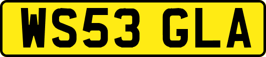 WS53GLA
