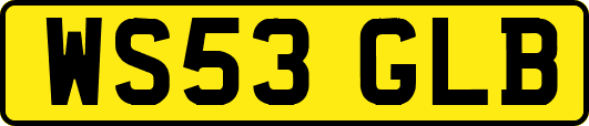 WS53GLB