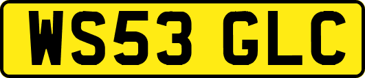 WS53GLC