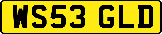 WS53GLD