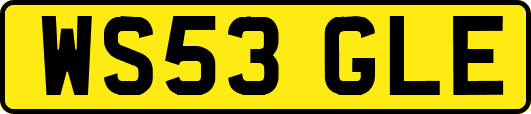WS53GLE