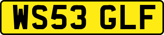 WS53GLF