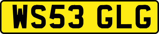 WS53GLG